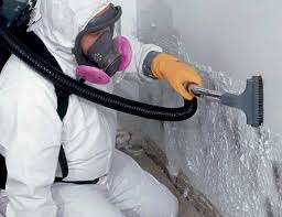 Best Mold Removal for HVAC Installations  in East Massapequa, NY